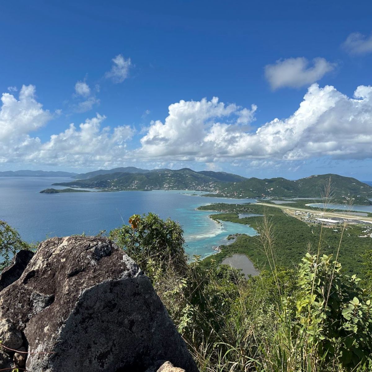 “Put Heart in the Hustle”&nbsp;Origin